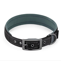 Collier et harnais pour chien en nylon solide, réglable, luxueux, élégant et respirant - Style durable et tendance pour les petits chiens, toutes saisons