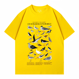 Camiseta Extra Grande Vintage con Gráfico <span class=keywords><strong>de</strong></span> Fórmula Matemática <span class=keywords><strong>de</strong></span> Leonhard Euler, Unisex, Informal, <span class=keywords><strong>de</strong></span> Manga Corta, 220g, <span class=keywords><strong>de</strong></span> Algodón - Product Image 2