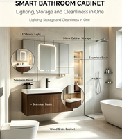 Miroir mural LED moderne et minimaliste sur mesure en contreplaqué pour salle de bain, idéal pour les projets de rénovation hospitalière