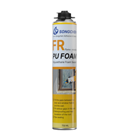 Super prix, montage professionnel pour portes et fenêtres, résistance au feu, mousse PU 750ML