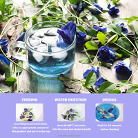 Prix de gros Thé aux fleurs de pois papillon séché bleu biologique Tisane séchée Boisson bleue apaisante pour la relaxation et la concentration