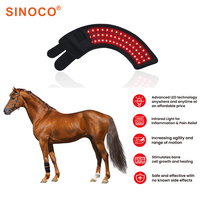 Bottes de thérapie LED à lumière bleue pour chevaux, enveloppement de thérapie photonique infrarouge avec batterie rechargeable pour la cicatrisation des plaies chez les chiens et les chevaux