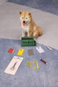 مزيل القراد للحيوانات الأليفة مع مكبر بلاستيكي ، ملاقط مكبرة - Product Image 6