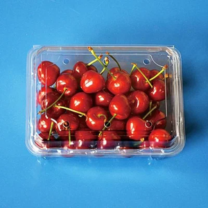 Caja de Plástico Desechable para Postres, <span class=keywords><strong>Venta</strong></span> al por Mayor, Transparente, Biodegradable, de Calidad Competitiva, Contenedor para Alimentos con Tapa - Product Image 5