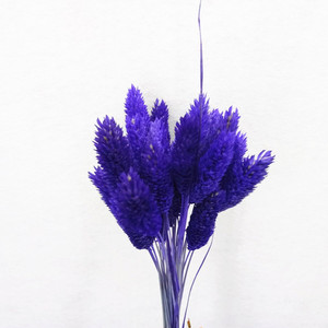 Mini flor seca Natural pequeña gema hierba <span class=keywords><strong>Phalaris</strong></span> - Product Image 6