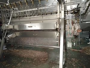 Équipement mobile automatique d'abattage de volaille - Product Image 3