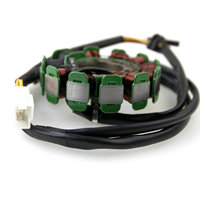 Pièces et accessoires ATV/UTV Jianshe 250cc JS250 Stator Magneto 16 Bobines 250 Loncin Bashan 250CC Pièces ATV Quad