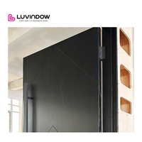Portes extérieures décoratives contemporaines Portes d'entrée modernes par Luvindow Windows Inc