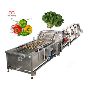 Commercial Coconut Vegetable Washing and Drying Line Carrot Orange Fruit Washing Machine