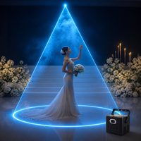 Projecteur laser LED RGB DMX 10W avec application, indice de protection IP33, angle de balayage de 30° pour mariage, scène, fête, discothèque, spectacle professionnel