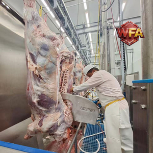 Chaîne de production d'abattage de bétail, équipement de boucherie durable pour la transformation du bœuf, convoyeur en acier inoxydable 304 - Product Image 1