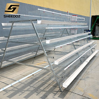 Jaulas de batería galvanizadas tipo A para gallinas ponedoras, para granja avícola, en venta