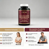 Complément Alimentaire Glucosamine Chondroïtine Soutien Articulaire 120 Capsules