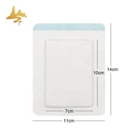 Hot & Cold Packs Patch transdermique Nouveau produit-Pansements chinois à base de plantes pour le soulagement de la douleur sciatique du dos