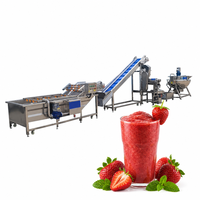 Complete natuurlijke sap productielijn, fruit sap productielijn, sapcentrifuge productielijn, verwerkingsmachine