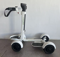 Loyal Electric, le dernier scooter électrique pliable de 2000 W à quatre roues de 10 pouces pour chariot de golf extérieur