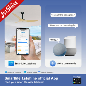 1stshine quạt trần nhà trang trí 6 tốc độ điều khiển từ xa BLDC quạt trần thông minh không có ánh sáng - Product Image 6