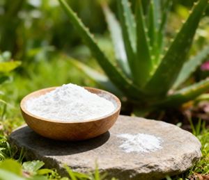 Suministro a granel de polvo de aloe vera 100X de calidad premium para producción cosmética a gran escala y distribución de ingredientes - Product Image 6