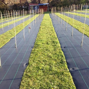 Toile <span class=keywords><strong>de</strong></span> paillage <span class=keywords><strong>anti</strong></span>-mauvaises herbes pour serre, non tissée, non perforée, en rouleaux vert et blanc pour l'agriculture - Product Image 5