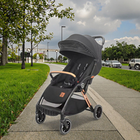 Poussette bébé pliable légère en métal, poussette de voyage, trotteur pliable, pliable pour avion, 2 en 1, portable, capacité de charge de 20 kg