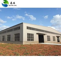 Almacén de Estructura de Acero de Alta Resistencia Senwang, Espacio Libre para Maquinaria Grande, Almacenamiento de Materia Prima Industrial, Moderno