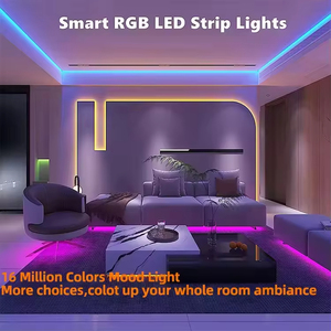 Venta al por mayor Led Digital Strip 60Leds/M RGB Direccionable Led Strip <span class=keywords><strong>Magic</strong></span> Color DC5V Smart Led Pixel Strip - Product Image 2