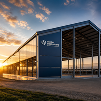 Structure en acier galvanisé à chaud professionnelle pour l'élevage de volailles, conception de poulailler pour poulets de chair, bâtiment préfabriqué anti-corrosion