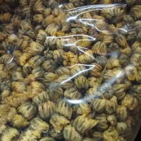 Fleurs de chrysanthème séchées en gros, bourgeons de chrysanthème bébé de qualité supérieure, ingrédient parfait pour la base de fleurs de bubble tea