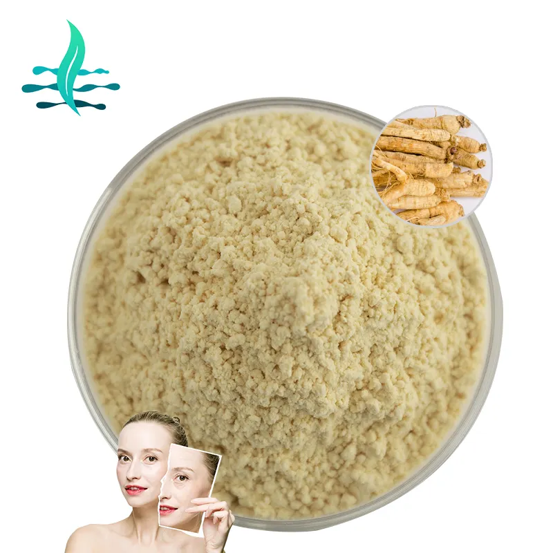 Nhà Máy bán hàng trực tiếp Panax Ginseng chiết xuất nhân sâm gốc 10% 20% Nhân Sâm ginsenoside bột