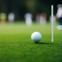 Règle d'entraînement de golf en alliage d'aluminium, 3 sections amovibles, avec échelle graduée, pour l'enseignement familial, portable et durable - Meilleures ventes