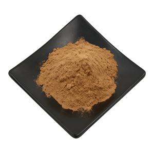 ノコギリヤシエキス粉末 セレノア・レペンスエキス 10:1 20:1 30:1 ノコギリヤシエキス - Product Image 1