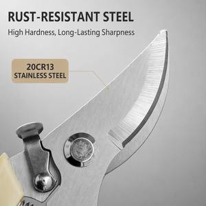 Ciseaux de jardinage professionnels Sharp à coupe coupante pour Bonsaï et fleurs, lames en acier 20CR13, poignées en plastique, tête incurvée - Livraison rapide - Product Image 3