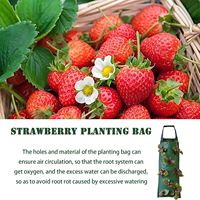 Sacs de culture respirants pour plantes, 2 pièces, sacs de culture pour fraises avec 8 poches, sac de plantation suspendu pour légumes et fleurs