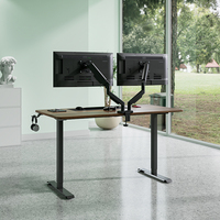 Bureau assis-debout électrique avec rangement, moteur simple, 60 kg, en panneau de particules, ergonomique, moderne, pour bureau à domicile