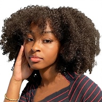 Perruque Afro Bouclée Courte et Volumineuse Style Exotique Européen-Américain, Idéale pour le Quotidien, Meilleure Vente, avec Bonnet de Perruque Intégré