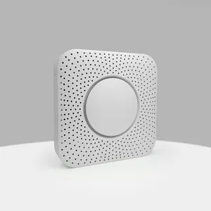 Lorawan Indoor Air Quality Monitor Wireless Wifi RS485 CO2 PM2.5 HCHO sensore di umidità della temperatura