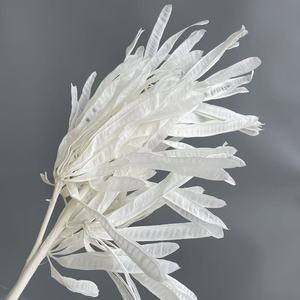 Flores Blancas Preservadas al <span class=keywords><strong>por</strong></span> <span class=keywords><strong>Mayor</strong></span>, Materiales Naturales Secos de Larga Duración para Arreglos de Boda, San Valentín y Decoración del Hogar - Product Image 2