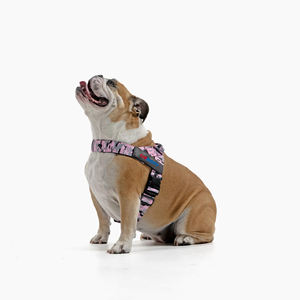 Tali kekang anjing merah muda <span class=keywords><strong>Camo</strong></span> tugas berat dengan pegangan cincin D strip reflektif untuk kontrol jenis Besar Sedang Kecil - Product Image 4