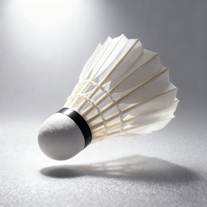 Gosen Badminton Shuttlecock - Premium Goose Feather Training