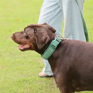 Premium Durable corduroy Dog Collar dog training collar custom Adjustable pet Collar personalized and leash