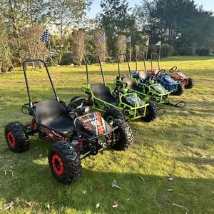 Go-Kart Eléctrico Infantil <span class=keywords><strong>de</strong></span> 1000w, Todoterreno, UTV, Motocicleta <span class=keywords><strong>de</strong></span> Cuatro Ruedas, Vehículo <span class=keywords><strong>de</strong></span> Tubo <span class=keywords><strong>de</strong></span> Acero, Monoplaza, <span class=keywords><strong>para</strong></span> Playa y Exteriores - Product Image 6