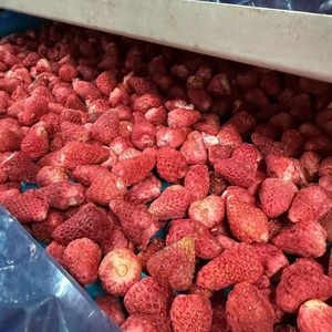 Fresas Liofilizadas sin Azúcar (FD) a Granel para Producción Industrial de Alimentos y Suministro de Materia Prima, Listas para Comer - Product Image 2