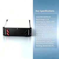 Batterie au phosphate de fer et de lithium 51,2 V 5,12 kWh 10,24 kWh 6000+ cycles RS485 CAN Rack ESS
