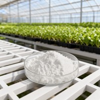 Inhibiteur d'uréase agricole NBPT pour engrais à base d'urée, stabilisateur d'azote pour l'agriculture