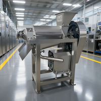 Commerciële industriële automatische gemotoriseerde spiraalvormige schroef fruitpers sinaasappelsapcentrifuge en -pulpmachine