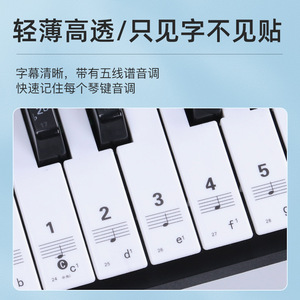 Autocollant pour touches de piano, 88, 61, 54 touches, aide à l'apprentissage de la notation musicale pour les débutants - Product Image 3