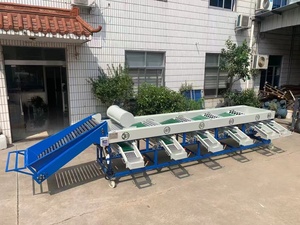 Máquina Clasificadora <span class=keywords><strong>de</strong></span> Frutas Automática <span class=keywords><strong>de</strong></span> Diseño Razonable, Máquinas Clasificadoras <span class=keywords><strong>de</strong></span> Cítricos, Máquina Clasificadora <span class=keywords><strong>de</strong></span> Manzanas - Product Image 4