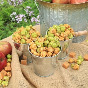 ถังใส่อาหารกระดาษแบบกำหนดเอง ขนาด 1 แกลลอน <span class=keywords><strong>ขา</strong></span>ยตรงจากโรงงาน สำหรับใส่ป๊อปคอร์น <span class=keywords><strong>ขา</strong></span>ไก่ ปีกไก่ เฟรนช์ฟรายส์ ถังอาหารสำหรับครอบครัว ถังใส่ไก่ทอด - Product Image 4