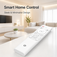 Fabricante Profesional de Controles Remotos, Servicio OEM ODM, RCT6016, Logotipo Personalizado e Impresión por Serigrafía, Controles Remotos por Voz IR BT 2.4G