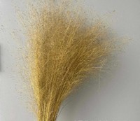 Herbe séchée Herbe de pampa séchée naturelle Décor Boho Wedding Flower Arrangement Muhly Grass Muhlenbergia Capillaris